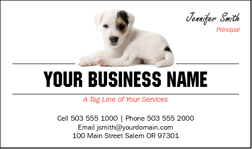 Business Card Design 4101