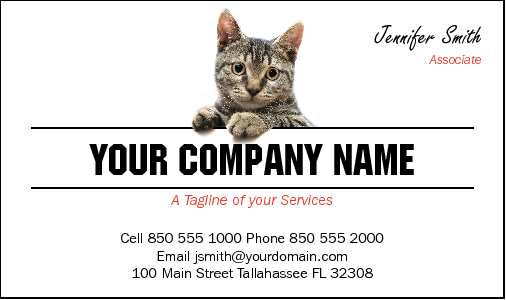 Business Card Design 2907