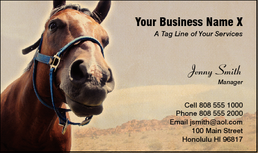 Business Card Design 1689