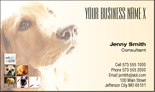 Business Card Design 1077