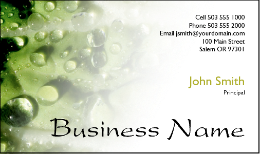 Business Card Design 2359