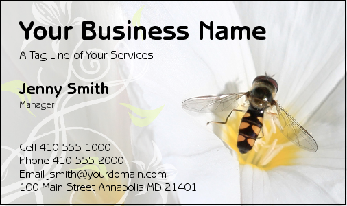 Business Card Design 2338