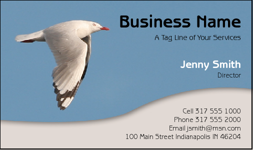 Business Card Design 2385
