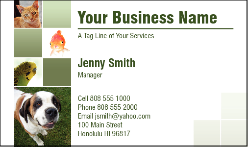 Business Card Design 3895