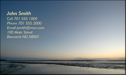 Business Card Design 1394
