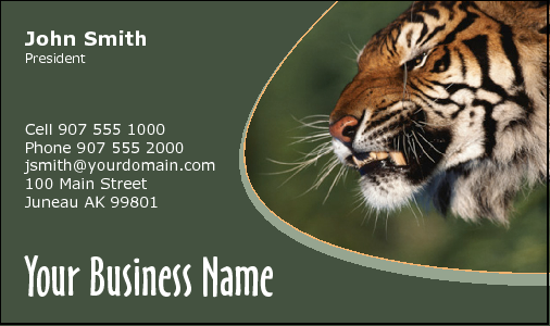 Business Card Design 2433